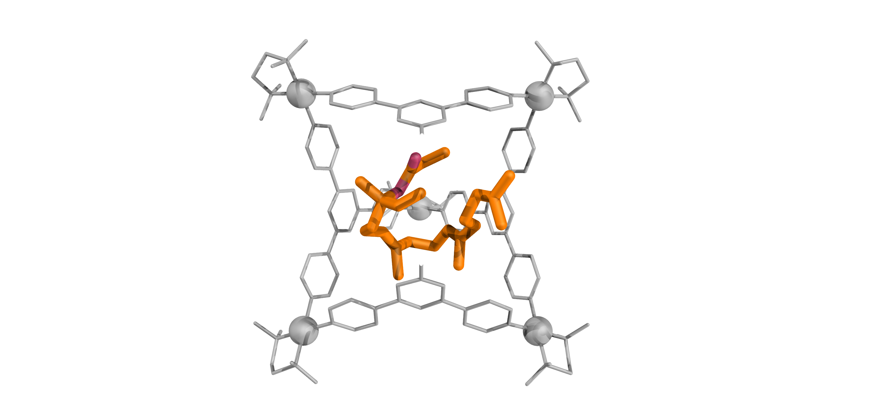 Orange terpenoid folded into a U-shaped conformation inside a grey coordination cage
