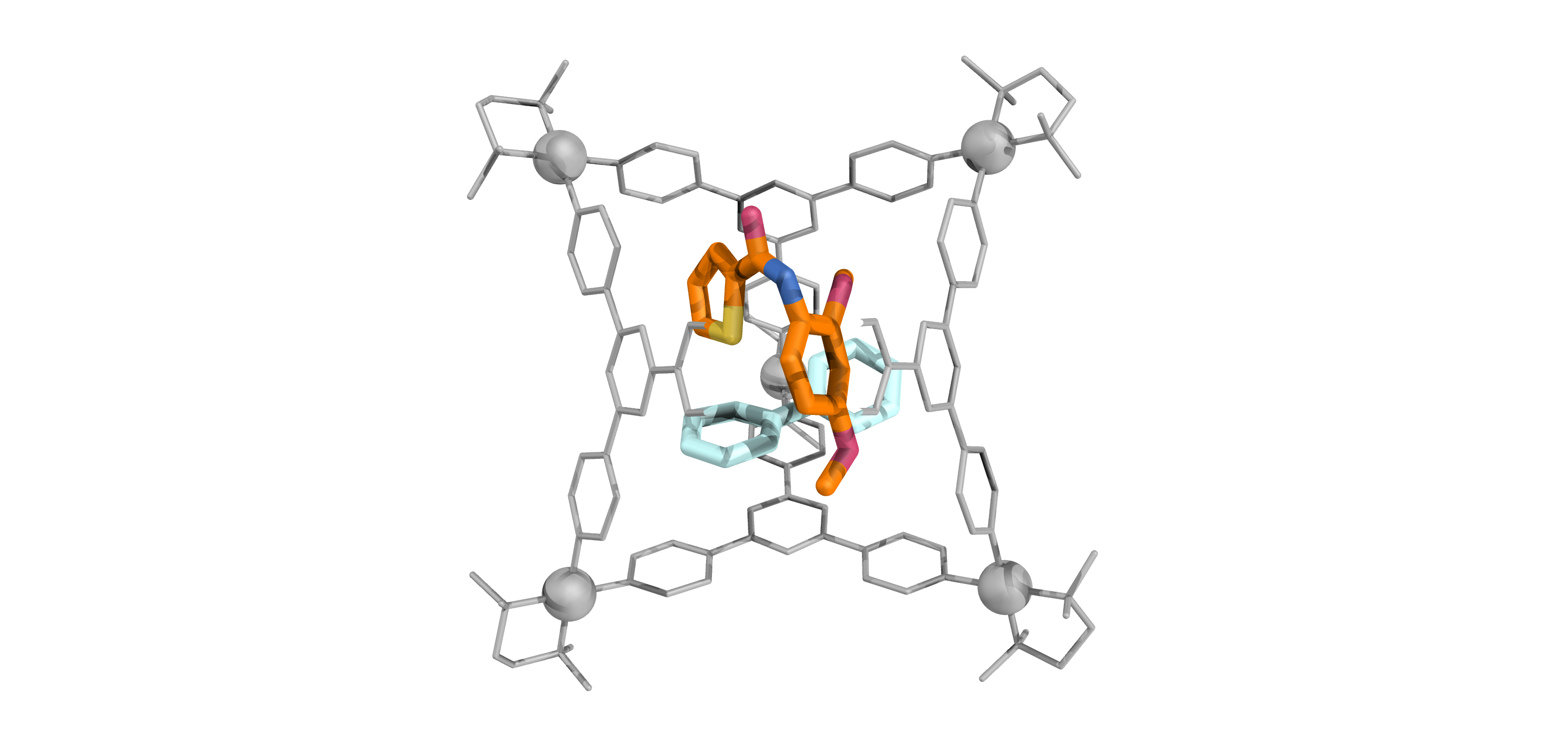 An amide guest highlighted inside the coordination cage in a confined, twisted conformation